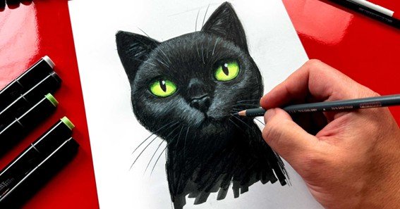 drawing of a cat